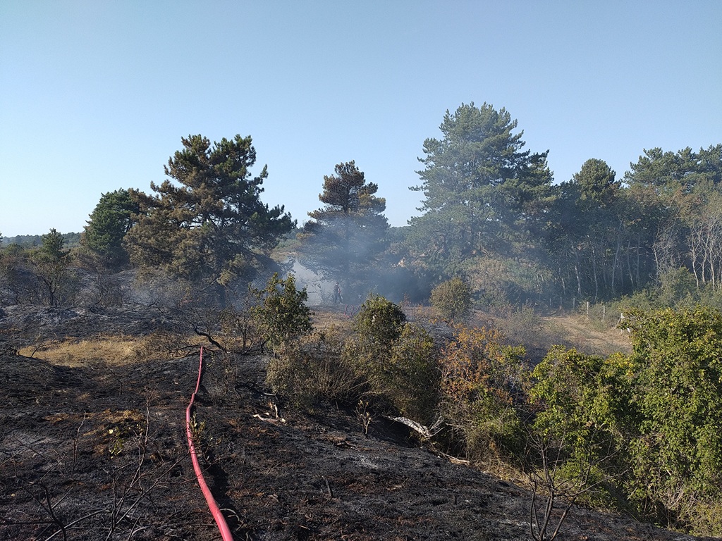 IMG_20260813_180240.jpg